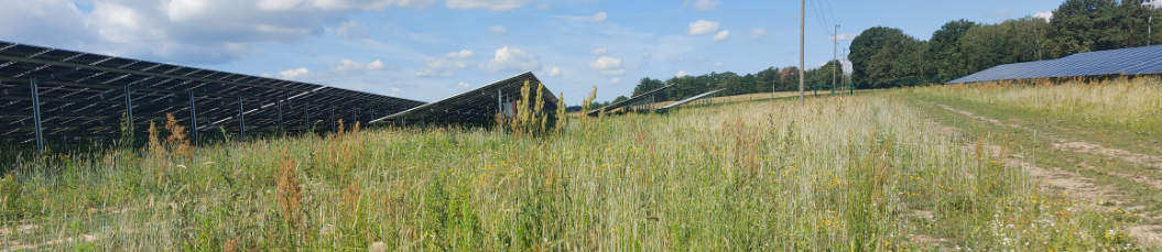 65 Megawatt project 35