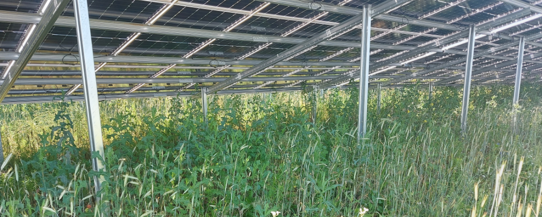 65 Megawatt project 37