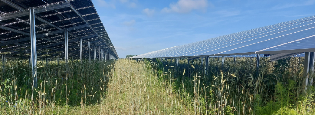 65 Megawatt project 39